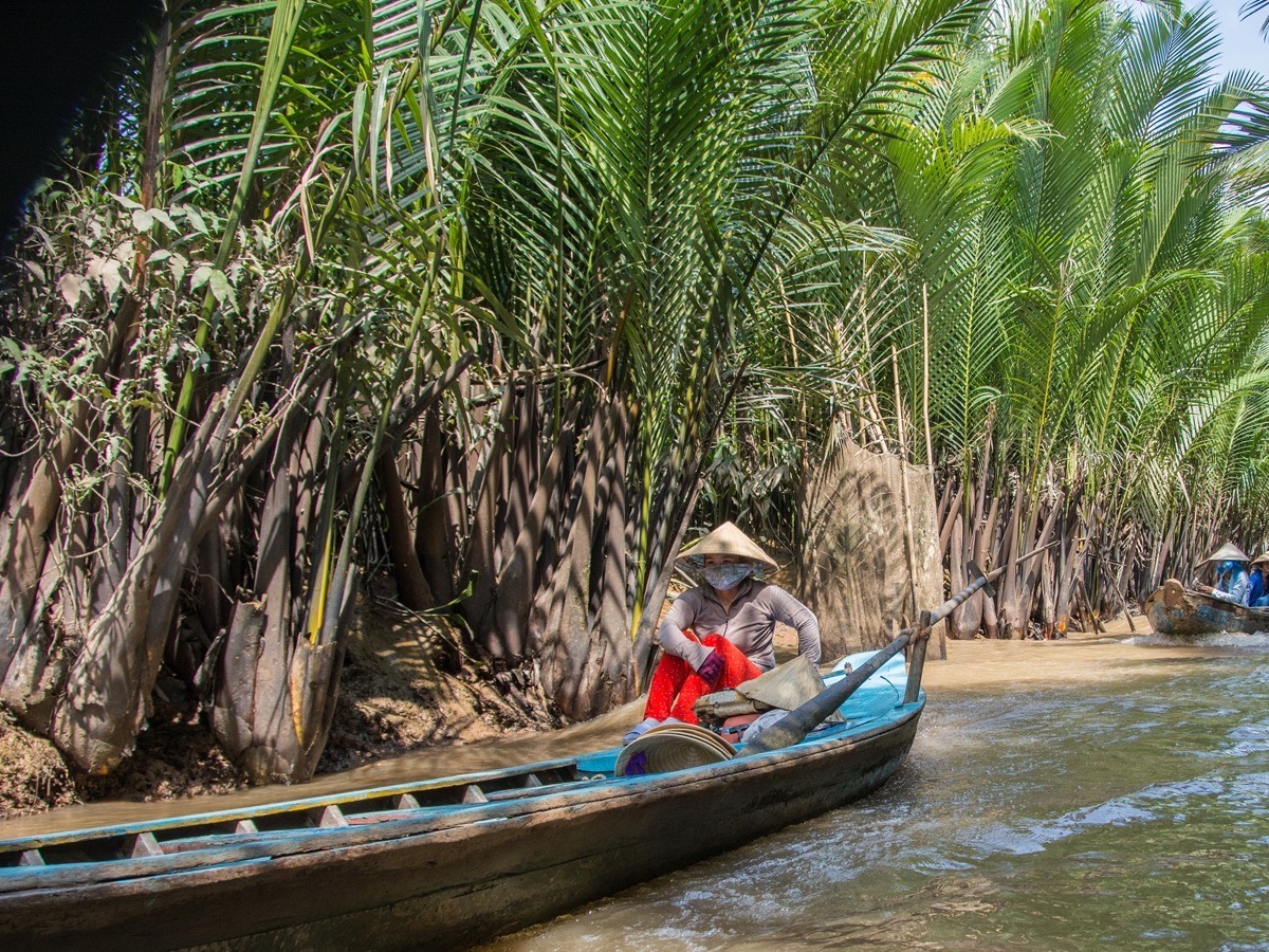 Perahu dayung di terusan yang diapit pokok kelapa di Delta Mekong